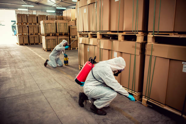Best Emergency Pest Control  in Moose Lake, MN