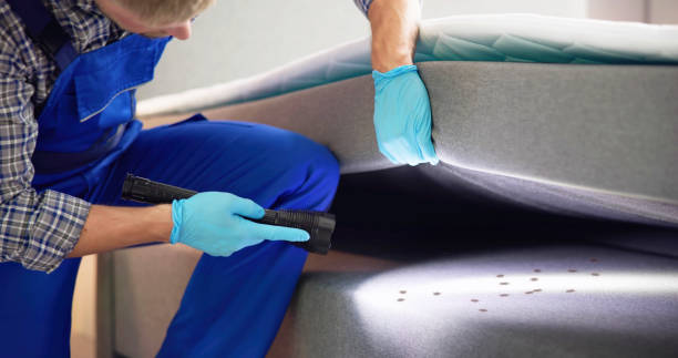 Best Best Pest Control Companies  in Moose Lake, MN