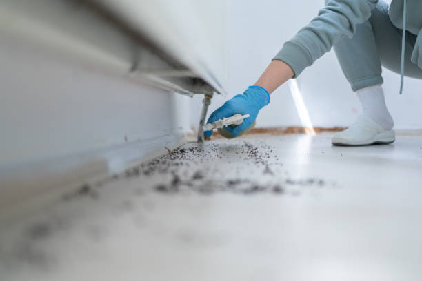 Best Emergency Pest Control  in Moose Lake, MN